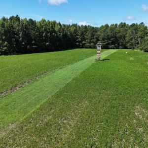 Photo #56 of SOLD property in 30503 Camp Parkway, Courtland, VA 77.2 acres