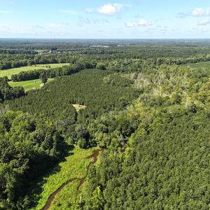 Photo #58 of SOLD property in 30503 Camp Parkway, Courtland, VA 77.2 acres