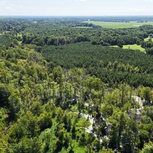 Photo #59 of SOLD property in 30503 Camp Parkway, Courtland, VA 77.2 acres