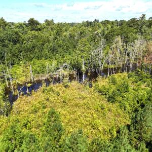 Photo #60 of SOLD property in 30503 Camp Parkway, Courtland, VA 77.2 acres