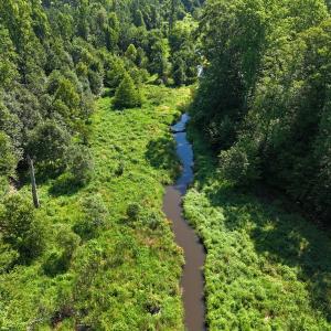Photo #61 of SOLD property in 30503 Camp Parkway, Courtland, VA 77.2 acres