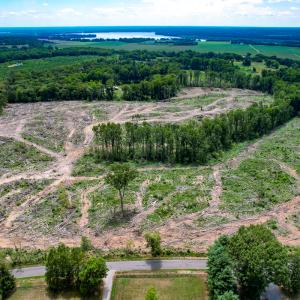 Photo #2 of SOLD property in Off Salem Church Road, King George, VA 87.0 acres