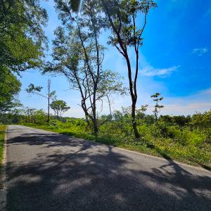 Photo #3 of SOLD property in Off Salem Church Road, King George, VA 87.0 acres