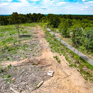 Photo #4 of SOLD property in Off Salem Church Road, King George, VA 87.0 acres