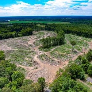 Photo #6 of SOLD property in Off Salem Church Road, King George, VA 87.0 acres