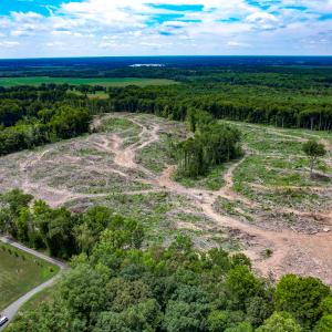 Photo #9 of SOLD property in Off Salem Church Road, King George, VA 87.0 acres