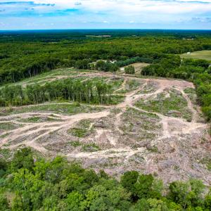 Photo #15 of SOLD property in Off Salem Church Road, King George, VA 87.0 acres