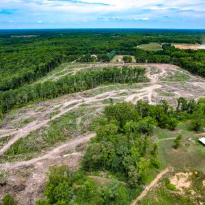 Photo #16 of SOLD property in Off Salem Church Road, King George, VA 87.0 acres