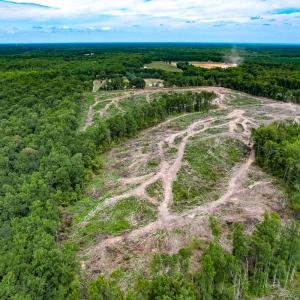 Photo #19 of SOLD property in Off Salem Church Road, King George, VA 87.0 acres