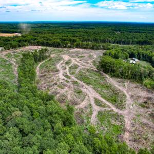 Photo #21 of SOLD property in Off Salem Church Road, King George, VA 87.0 acres