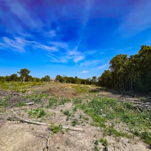 Photo #26 of SOLD property in Off Salem Church Road, King George, VA 87.0 acres