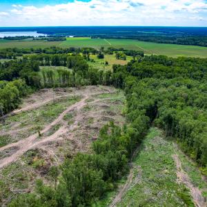 Photo #27 of SOLD property in Off Salem Church Road, King George, VA 87.0 acres