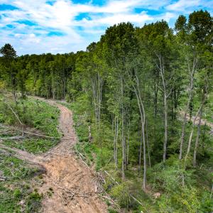 Photo #29 of SOLD property in Off Salem Church Road, King George, VA 87.0 acres