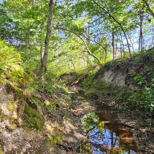 Photo #30 of SOLD property in Off Salem Church Road, King George, VA 87.0 acres