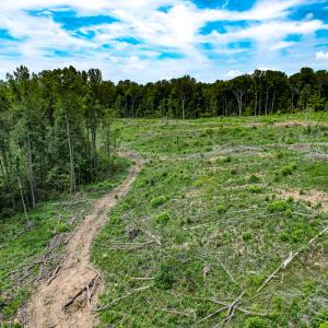 Photo #32 of SOLD property in Off Salem Church Road, King George, VA 87.0 acres