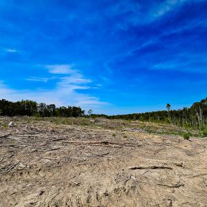 Photo #36 of SOLD property in Off Salem Church Road, King George, VA 87.0 acres