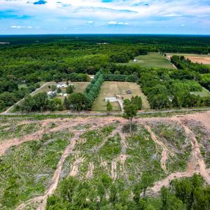 Photo #37 of SOLD property in Off Salem Church Road, King George, VA 87.0 acres