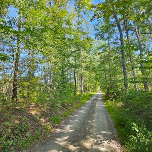Photo #40 of SOLD property in Off Salem Church Road, King George, VA 87.0 acres