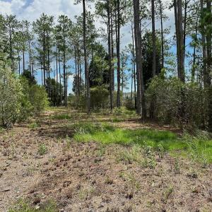 Photo #10 of SOLD property in 713 Sawyer Rd,  Scranton , NC 10.4 acres