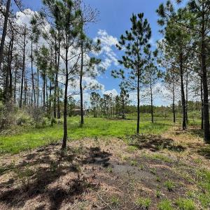 Photo #14 of SOLD property in 713 Sawyer Rd,  Scranton , NC 10.4 acres