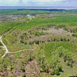 Photo #7 of SOLD property in 713 Sawyer Rd,  Scranton , NC 10.4 acres