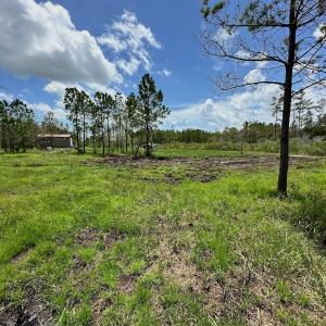 Photo #8 of SOLD property in 713 Sawyer Rd,  Scranton , NC 10.4 acres