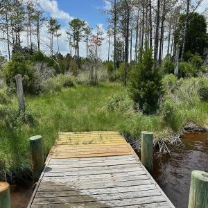 Photo #26 of SOLD property in 713 Sawyer Rd,  Scranton , NC 10.4 acres