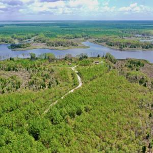 Photo #52 of SOLD property in 713 Sawyer Rd,  Scranton , NC 10.4 acres
