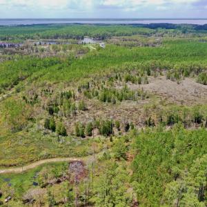 Photo #53 of SOLD property in 713 Sawyer Rd,  Scranton , NC 10.4 acres