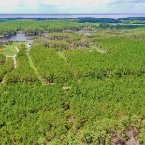 Photo #54 of SOLD property in 713 Sawyer Rd,  Scranton , NC 10.4 acres