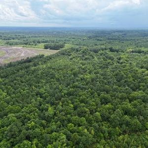 Photo #10 of SOLD property in Off Pairs Drive, Lawrenceville, VA 9.1 acres