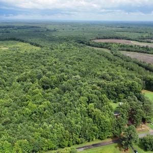 Photo #3 of SOLD property in Off Pairs Drive, Lawrenceville, VA 9.1 acres