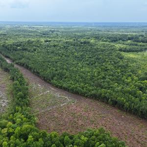 Photo #6 of SOLD property in Off Pairs Drive, Lawrenceville, VA 9.1 acres