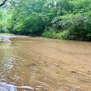 Photo #2 of SOLD property in Off Brookside Court, Axton, VA 10.0 acres