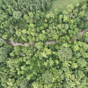 Photo #3 of SOLD property in Off Brookside Court, Axton, VA 10.0 acres