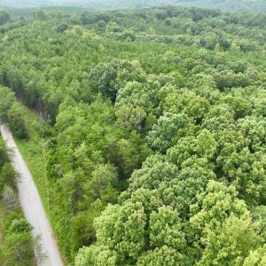 Photo #4 of SOLD property in Off Brookside Court, Axton, VA 10.0 acres