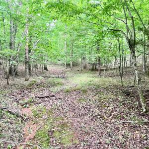 Photo #5 of SOLD property in Off Brookside Court, Axton, VA 10.0 acres