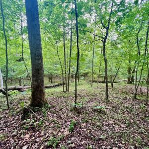 Photo #16 of SOLD property in Off Brookside Court, Axton, VA 10.0 acres