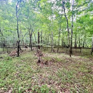 Photo #17 of SOLD property in Off Brookside Court, Axton, VA 10.0 acres