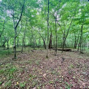 Photo #18 of SOLD property in Off Brookside Court, Axton, VA 10.0 acres
