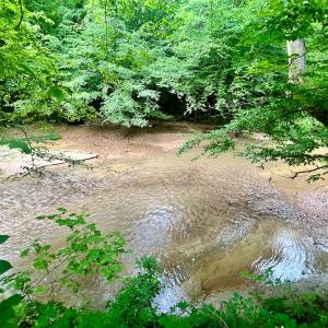 Photo #19 of SOLD property in Off Brookside Court, Axton, VA 10.0 acres