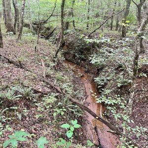 Photo #21 of SOLD property in Off Brookside Court, Axton, VA 10.0 acres