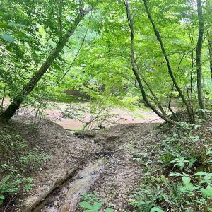 Photo #22 of SOLD property in Off Brookside Court, Axton, VA 10.0 acres