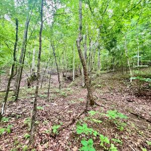 Photo #24 of SOLD property in Off Brookside Court, Axton, VA 10.0 acres
