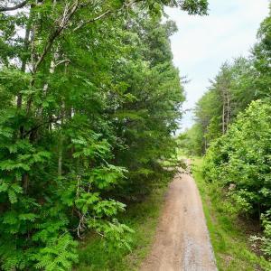 Photo #8 of SOLD property in Off Brookside Court, Axton, VA 10.0 acres