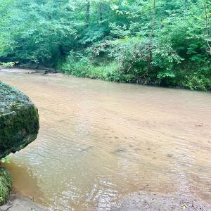 Photo #26 of SOLD property in Off Brookside Court, Axton, VA 10.0 acres