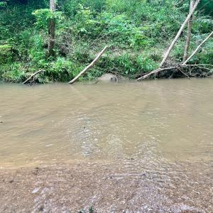 Photo #28 of SOLD property in Off Brookside Court, Axton, VA 10.0 acres