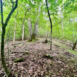 Photo #30 of SOLD property in Off Brookside Court, Axton, VA 10.0 acres