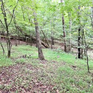 Photo #31 of SOLD property in Off Brookside Court, Axton, VA 10.0 acres