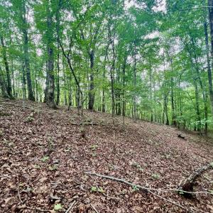 Photo #10 of SOLD property in Off Brookside Court, Axton, VA 10.0 acres